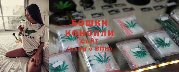 индика Ладушкин