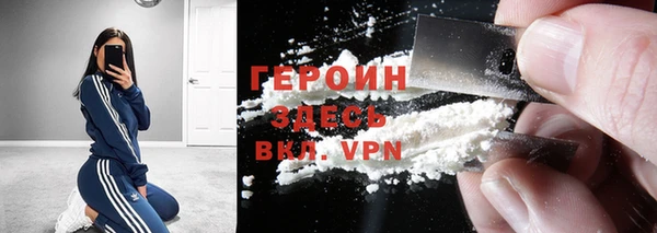 индика Ладушкин