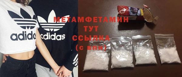 индика Ладушкин