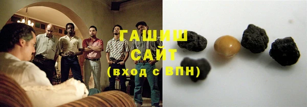 индика Ладушкин
