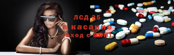 индика Ладушкин