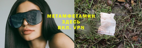 индика Ладушкин