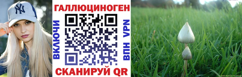 где купить   hydra   Галлюциногенные грибы Magic Shrooms  Уссурийск 