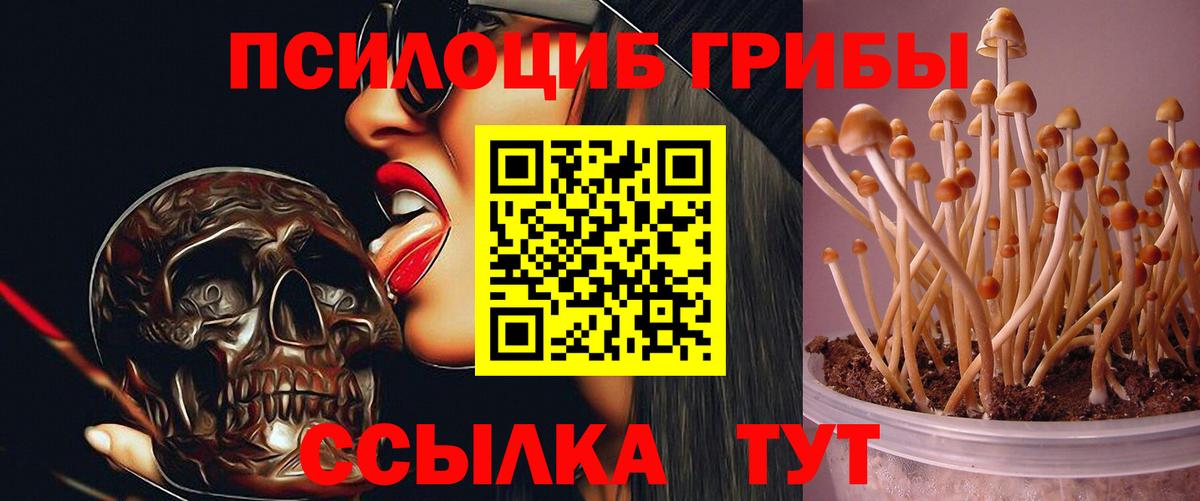 Уссурийск  Галлюциногенные грибы мицелий  Галлюциногенные грибы GOLDEN TEACHER  Вход с VPN 